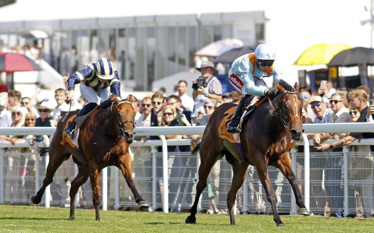 TallyHoStud's tweet photo. ‘She’s a very talented filly and I think we might go for the Nunthorpe now’

🟣⚪️ Gr.3 winner for PERSIAN FORCE! 

Read more about the Tally-Ho bred and sold Pershaada, the brilliant winner of the Molecomb Stakes for @MprUpdates and @rhannonracing

https://t.co/EUQeDyD5ME https://t.co/9nvNjfUsUI