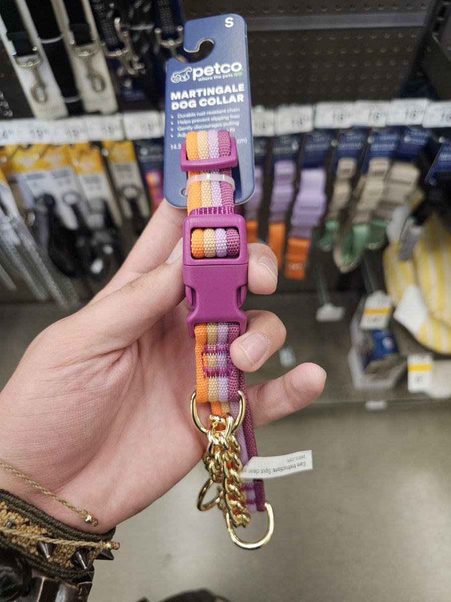 gothtism444's tweet photo. getting the lesbian dog collar for your trans puppygirl gf >>>>> https://t.co/qAyGQSaQax