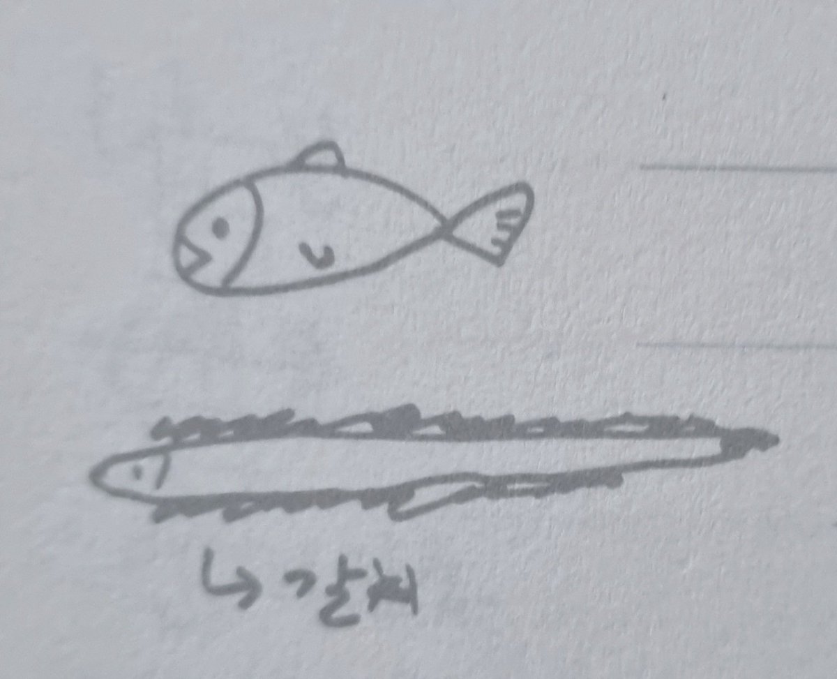 912potato's tweet photo. 뭔가 자기가 디테일을 아는것들은 자세히 그릴줄 아는 것 같음 해산물 처럼.. 오징어랑 문어 그릴때 매번 다리 갯수를 맞춰 그린다고 https://t.co/xE2z2cj9HW