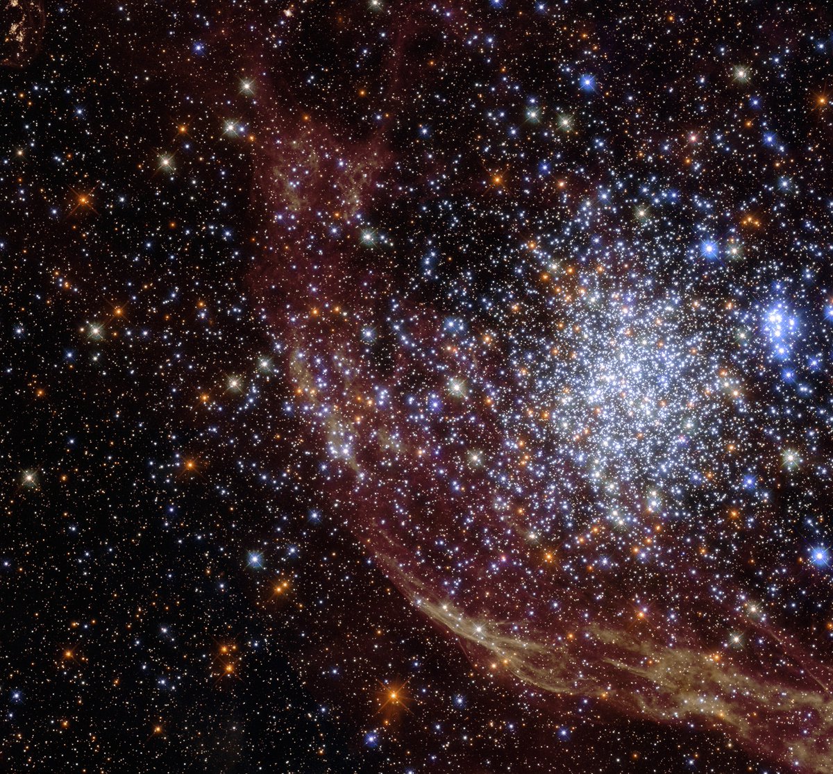 universal_sci's tweet photo. Breathtaking: star cluster NGC 1850, located about 160,000 light-years away.

Credit: NASA, ESA and N. Bastian (Donostia International Physics Center); Processing: Gladys Kober (NASA/Catholic University of America) https://t.co/G8109XQadU