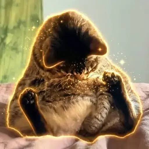 theluffytweets's tweet photo. This cat is going extremely viral for gooning 4.6m views &amp; 900k likes in 2 days.

the comments are flooding making fun of the cat for jorking his meat.

We are in a cat meta &amp; goon shit always flys.

https://t.co/CtQVaVhlBc https://t.co/92YU9t8XQB