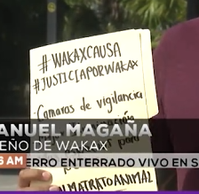 thedevelopooor's tweet photo. the hashtag is in spanish #Justiciaporwakax https://t.co/mBrQ6tOdLF