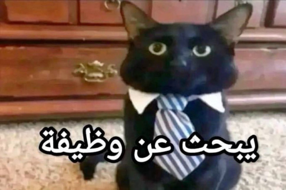 Taco_202's tweet photo. مدري والله https://t.co/X8PNzY3Yrj