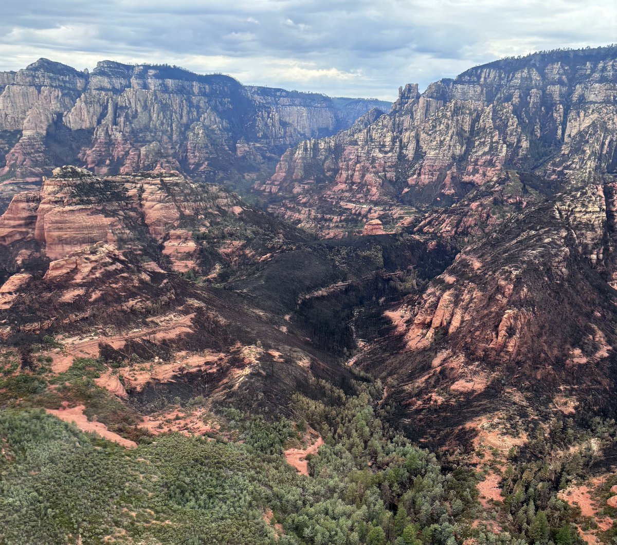 CoconinoNF's tweet photo. Pocket Fire photos dump... see more at https://t.co/c3yxCGayzL https://t.co/8tfBuO4GVX