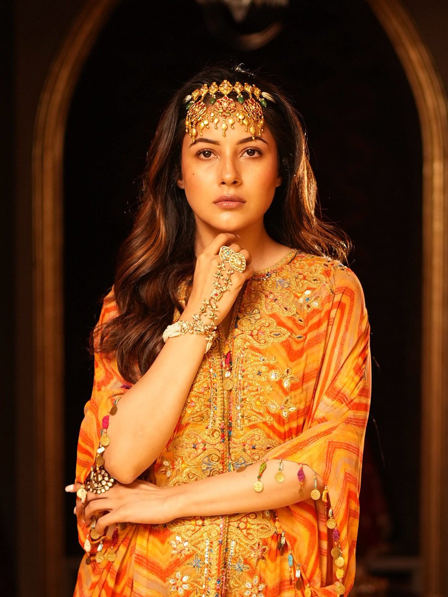 _forshehnaaz's tweet photo. @ishehnaaz_gill
 #shehnaazgill.👸
.ملكة https://t.co/s4VAvqAUaD