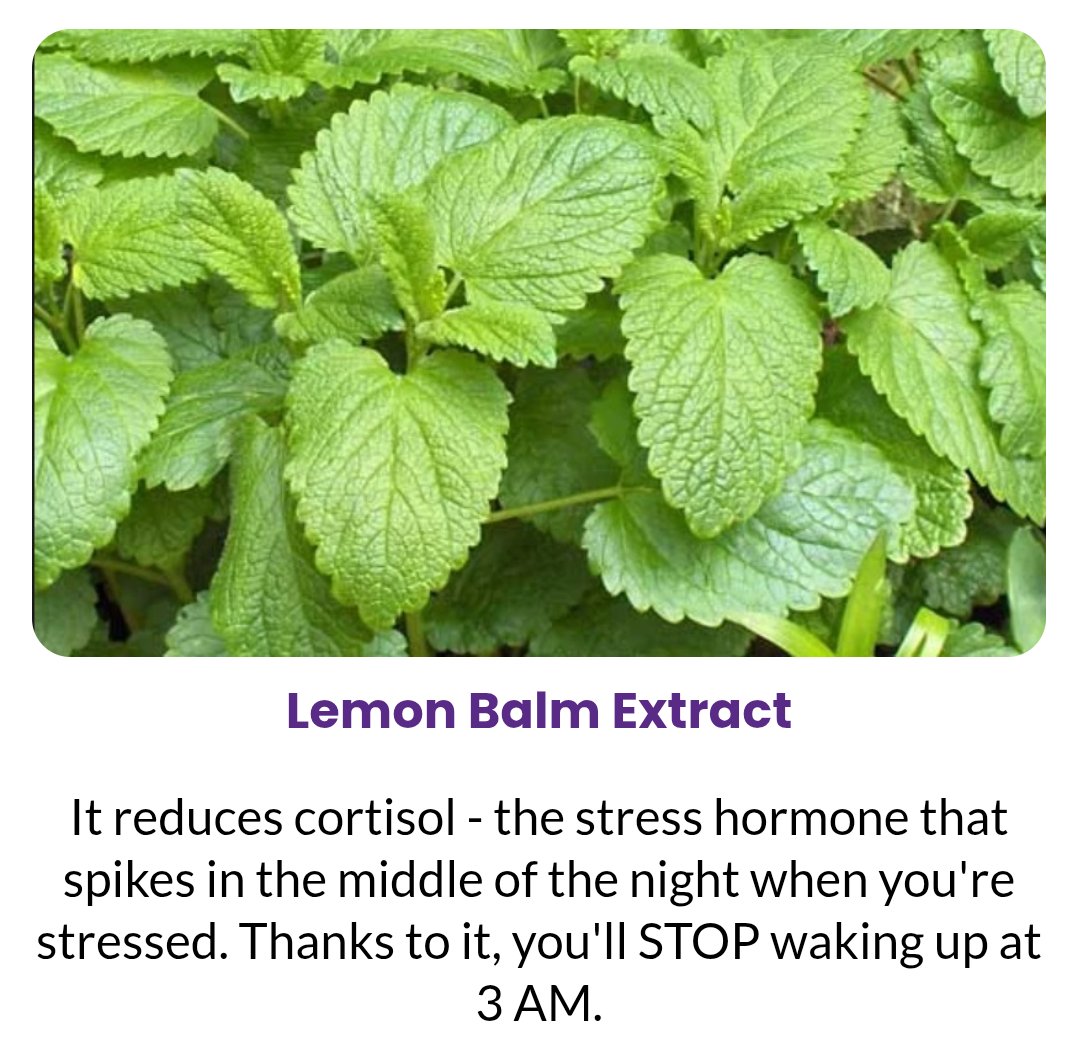 ProReview07's tweet photo. Lemon Balm Extract
Lemon Balm Extract (150 mg) Lemon balm’s specialty is lowering levels of cortisol, your body’s primary stress hormone that typically hits its peak at around 3:00 A.M., bringing along its partner, a wildly racing heart.
By normalizing cortisol levels overnight. https://t.co/YZoHSiev3t