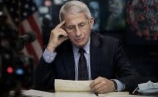fogna_la's tweet photo. Invoca il 5° emendamento per non parlare delle sue responsabilità sul #Covid davanti al Senato Usa: 
questo #Fauci è un uomo senza onore e senza dignità. 
Domanda: #UniSiena gliela revoca la laurea o no?🤷‍♂️ https://t.co/Poevv9GUlX