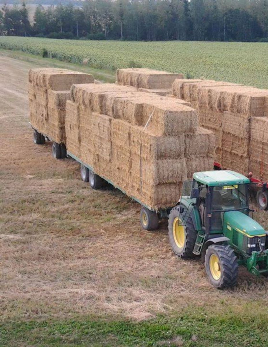 agriculturamex's tweet photo. El resultado del trabajo https://t.co/JStvpYzRCE