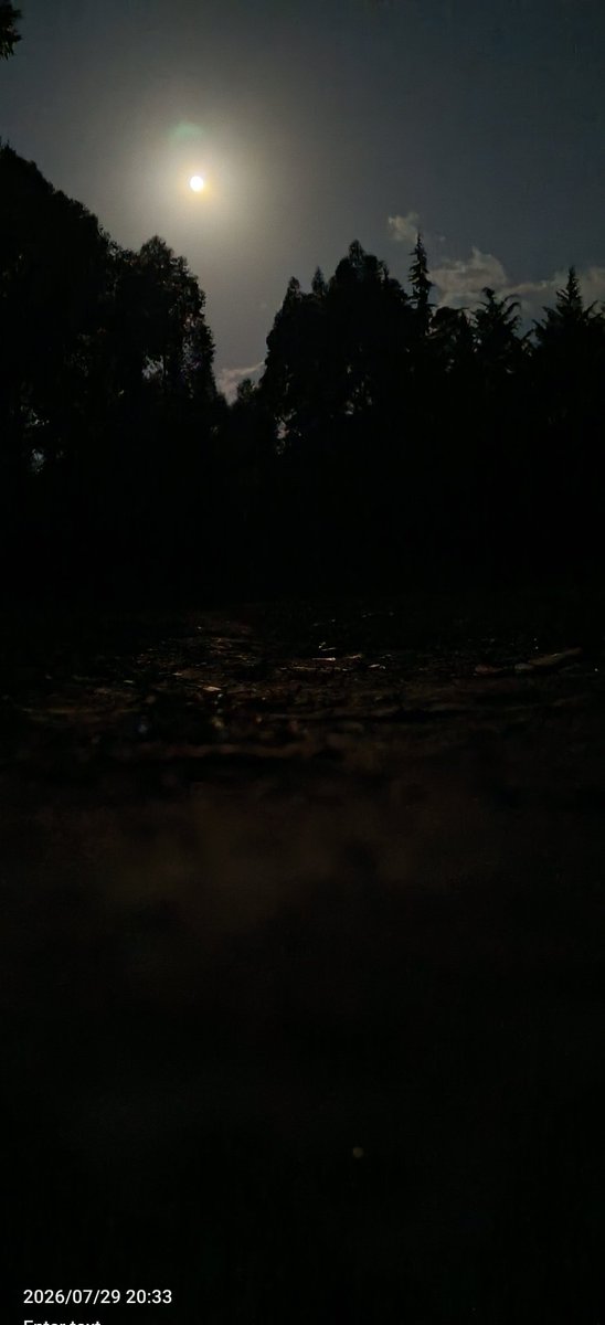_deep_reverence's tweet photo. Can your phones see at night? https://t.co/DZjyyxttsV