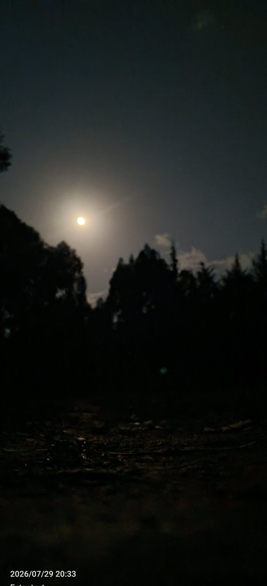 _deep_reverence's tweet photo. Can your phones see at night? https://t.co/DZjyyxttsV