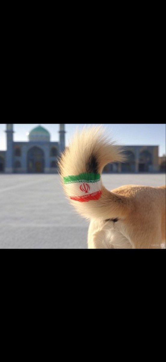 fllan99's tweet photo. @AbuAlhsn79 @althnaa https://t.co/KOeqtDbf7v