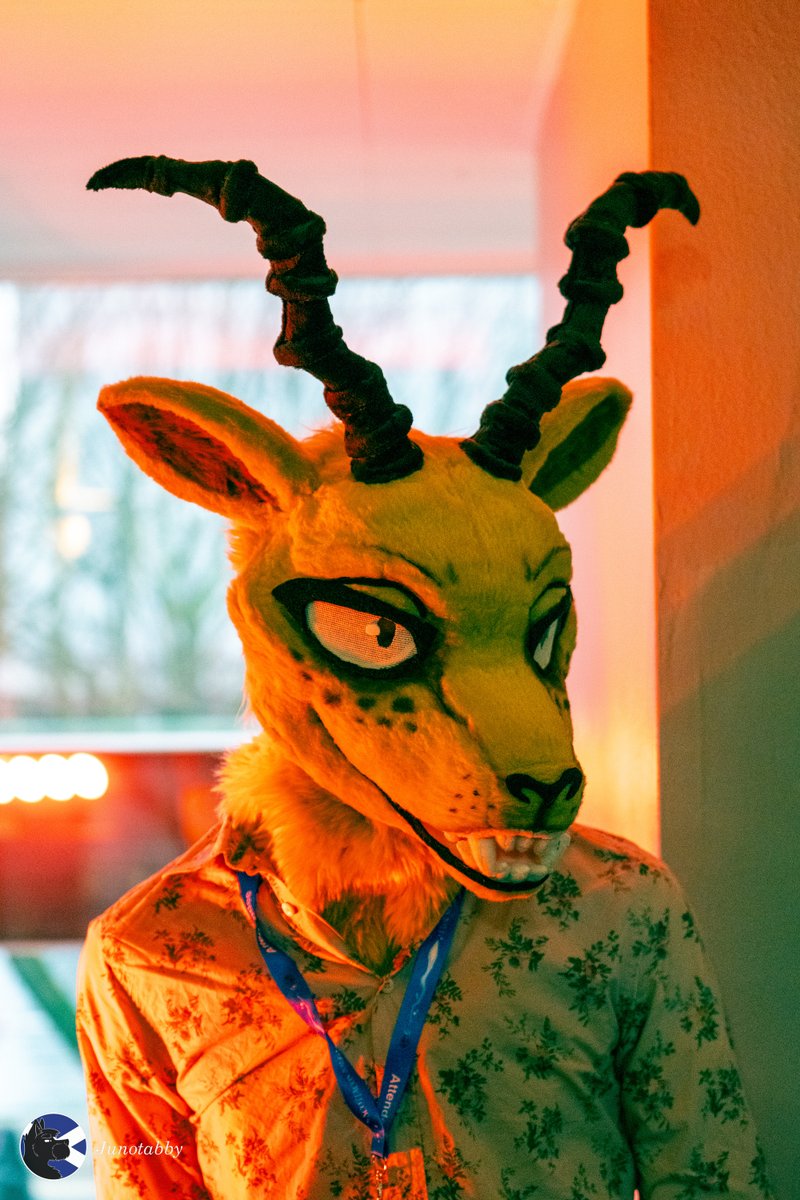Canid_K's tweet photo. Being chill (a sociopath)
....
Throwback to my time in Glasgow! https://t.co/1t0MFkqqQA