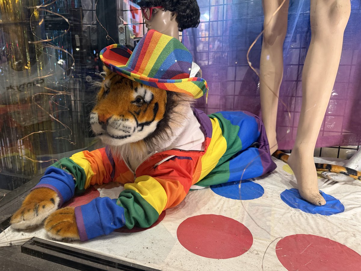 mozitygz's tweet photo. Happy Tiger Day!!! I love these big kitties sooo much and I’m so happy to celebrate them today!!! 🐅🐅🐅 https://t.co/XjosVyv3lR