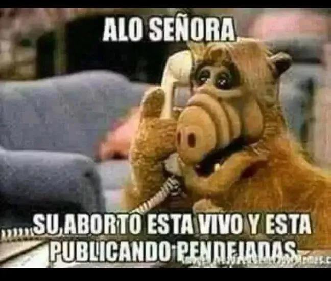 lenincarrasquer's tweet photo. @saunero78 @patriciajaniot https://t.co/xRdc2WtbuJ