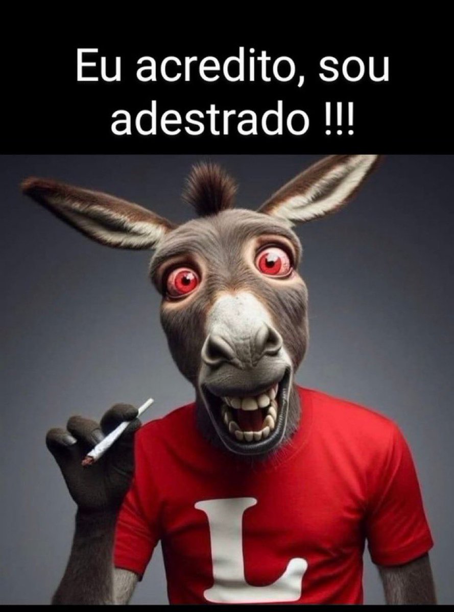 quatorzuba's tweet photo. @LuizSimaoNeto2 @FlavioBolsonaro Enquanto você acha que o “POGETO” é a melhor coisa que um parlamentar faz, continue votando no seu líder analfabeto. https://t.co/BC2TZfUJnb