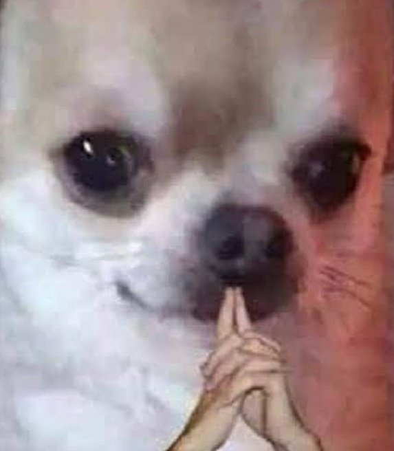 SaritaTable's tweet photo. Cómo así que Xeneize no es el apellido de Davo? https://t.co/zNlbeFdCzt