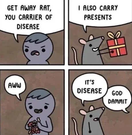 Rat 🎀 tweet media