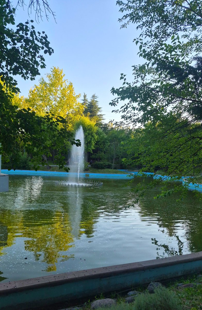 moriposarh's tweet photo. Ankara'da herkesin ağlamak için gittiği bir parkı var :) https://t.co/MLPNnGl6C1