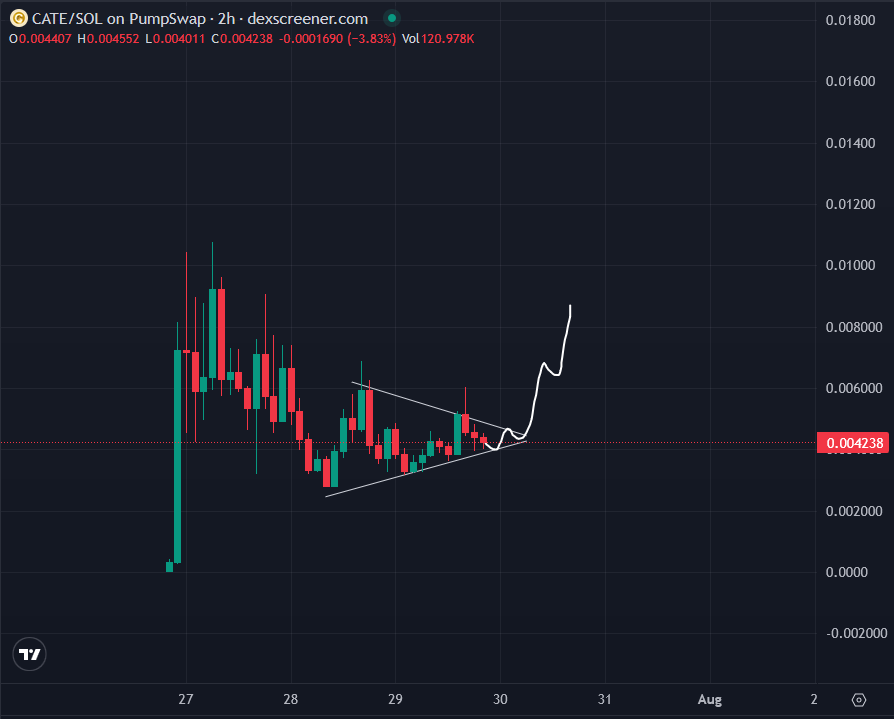 deg_ape's tweet photo. PvPs are dead

wen are sending $CATE back to ATH?

I will be waiting....  👀 https://t.co/jK8u6f87pg
