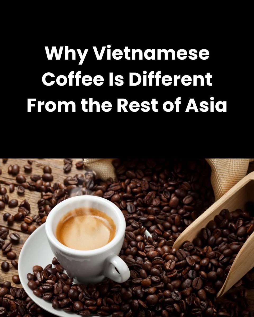 mochiicorp's tweet photo. Why Vietnamese Coffee Is Different From the Rest of Asia

via: https://t.co/y8LloP0qsv https://t.co/NQttJNXh5V