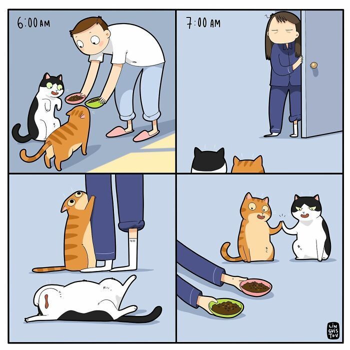 The Pawverse tweet media
