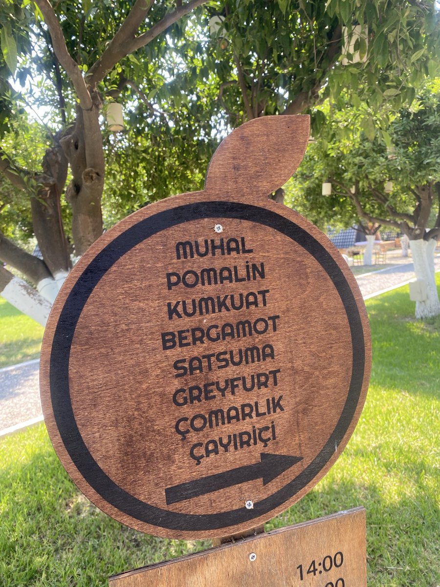 sacmasec's tweet photo. Bugün Datça’da gerçekten bayıldığım bi’ konaklama önerisiyle geldim: Limon Datça 🍋 #işbirliği

🍊 Limon, portakal ve nar ağaçlarının arasında tamamen size ait bir bungalovda, ruhunuzu dinlendirebileceğiniz bi’ yer. Üstelik serpme kahvaltınız bungalovunuza kadar geliyor 🍳  

🥘 Her sabah uyanıp ağaçlardan meyve toplayabilirsiniz. Kahvaltınızı bungalovunuzun önünde, ağaçların arasında, kuş cıvıltıları eşliğinde yapabilirsiniz. 

🏖️ Bungalovların içi iki katlı. Üst katta yer alan yatağınızdan uyandığınızda tabandan tavana kadar olan camlar sayesinde mis gibi bir yeşilliğe gözlerinizi açıyorsunuz. Alt katta ise oturma grubunuz, küçük bir dolabınız ve şık bir tasarıma sahip banyonuz var. Fotoğraflarını gönderinin altına ekleyeceğim.

🌳 En güzeli de tüm bungalovların önünde verandası, yatarak keyif yapmak için kırlentleri ve yemek için masaları var. Sabahları bu masaya güzel bir serpme kahvaltı geliyor. Sonra ver elini Datça’nın tatlı koyları…

🚪 Sahipleri her eve bir meyve ismi vermiş. Biz “Mandalina” isimliyi gördük. Liste Kumkuat, Bergamot, Greyfurt diye büyüyor. 

⛱️ Burası doğayla iç içe bir tatil yapmak isteyen, mümkünse arabasıyla seyahat edenler için daha uygun. Çünkü Limon Datça, merkezin üstünde Reşadiye köyünde yer alıyor.

🌿 Peki biz nasıl bulduk burayı?

Normalde anonim olmayan ve şuan paylaşım yapmadığımız Instagram hesabımız nedeniyle davet etmişlerdi bizi. Sahipleriyle oturup güzel bi’ kahvaltı etmiş, Mandalina’da çekim yapmıştık. Ama yaparken de misafirleri, ortamı doyasıya gezdik. Yani 3 yıl öncenin olmuş bitmiş bir işbirliğiydi. Ama gerçekten beğendiğim için şimdi açtığım bu hesapta da gönüllü olarak paylaşmak istedim. Yine de uyarı olarak #reklam diyelim ✨

🍪 Sorularınızı beklerim. Eğer beğenip takip ederseniz #Datça’da ve gezdiğim yerlerde kaldığım güzel evleri, butik otelleri anlatmaktan mutluluk duyarım.

#seyahat