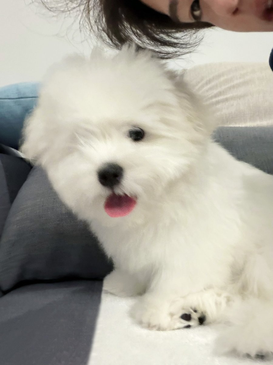 LeMiseraple's tweet photo. พิคาชูววิ้งคึ 😭✨🫶🏼 https://t.co/ppm0XMnrmN