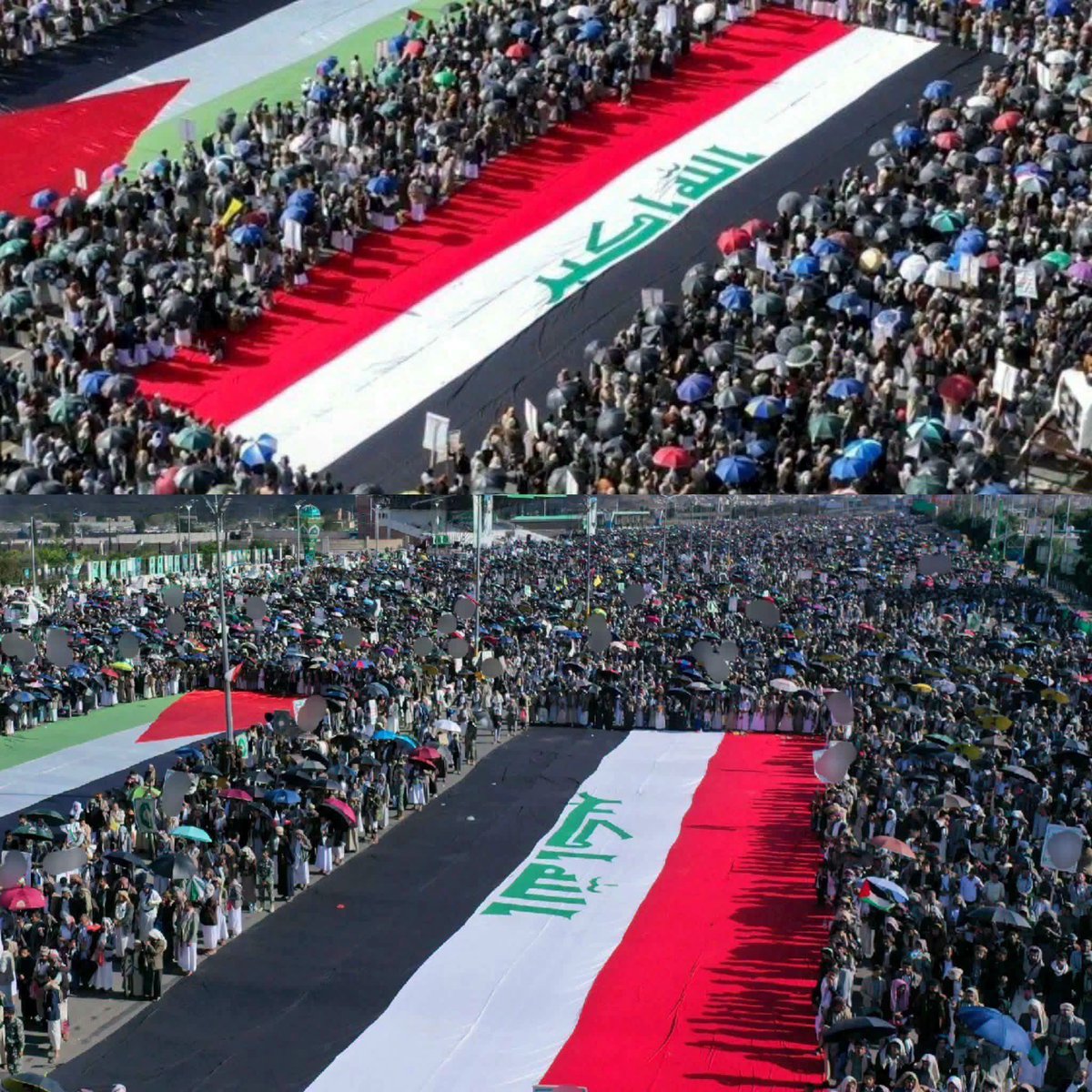 safiALshami's tweet photo. العراق في قلب اليمن.

🇮🇶 لستم وحدكم 🇾🇪 https://t.co/ZMbQJQ0SaD