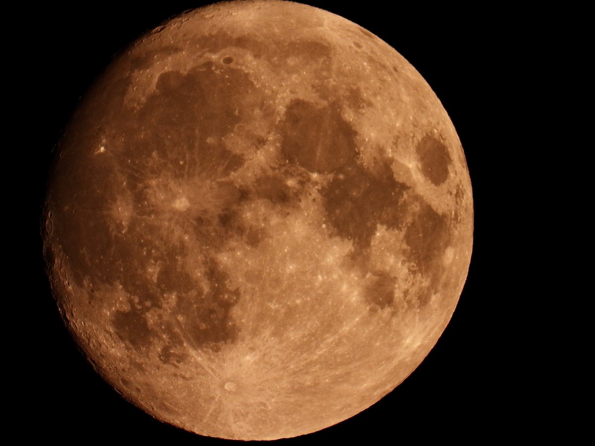🌸LUNE🌸 tweet media