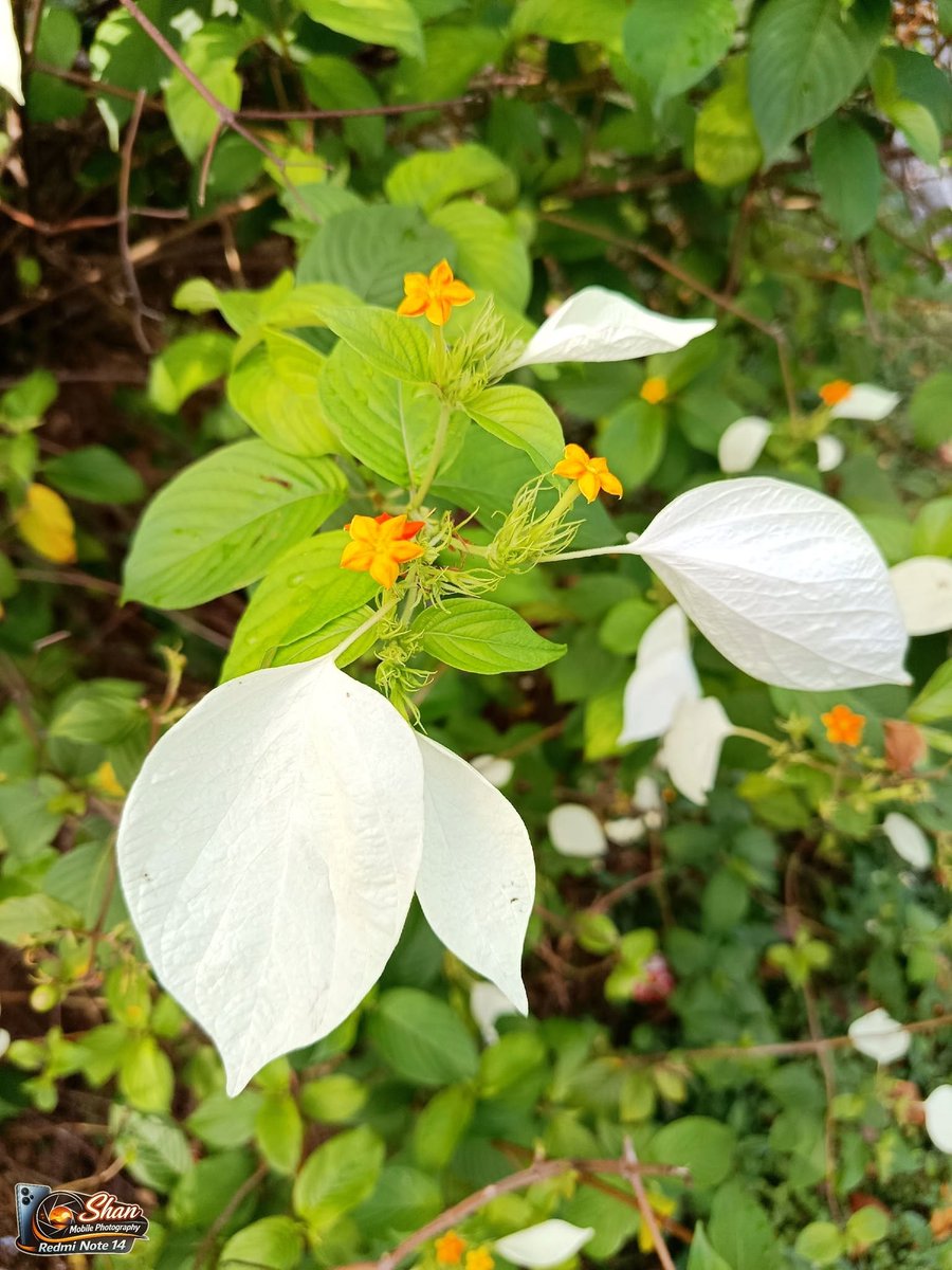 AnitraZunk7y's tweet photo. 期待という名の重荷を下ろす練習をしています…案外、無駄なことの方が多いのかもしれませんね https://t.co/dM7amccGXr