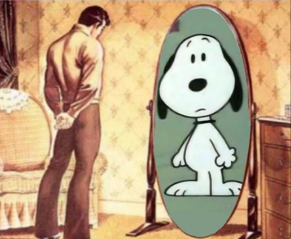 Snoopy0k's tweet photo. :-) https://t.co/N4ffDRP4ER
