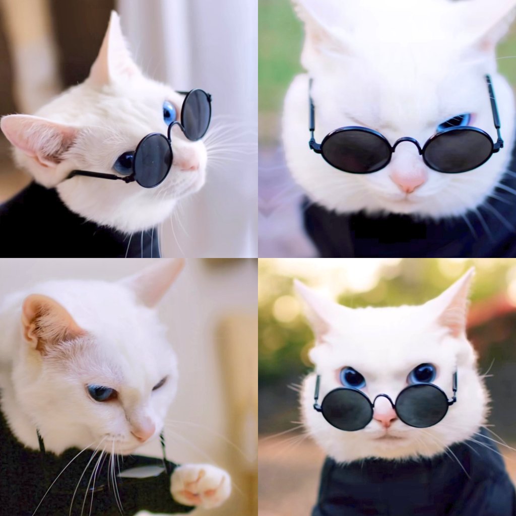 AnimexTwts's tweet photo. The BEST gojo cosplay https://t.co/jLtJRmAT2b