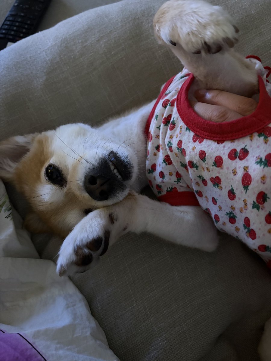 9wiceupdates's tweet photo. [JY🐶] 260730 2:29am KST

“Cute, right?” https://t.co/bnQ0mFEKp9