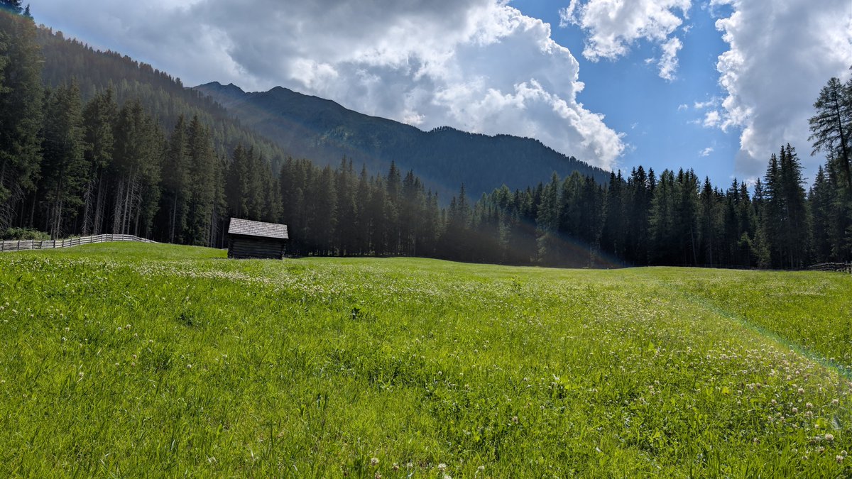 heavenlydemon94's tweet photo. 29-07-26, Alto Adige, Italy
#photograghy #GooglePixel8Pro #details #photooftheday #PhotographyLovers #PhotographyIsArt #NaturePhotography #NatureLovers #Italy #NaturalWonders #NatureBeauty #mountains #lakes https://t.co/oi4y5y5Urk
