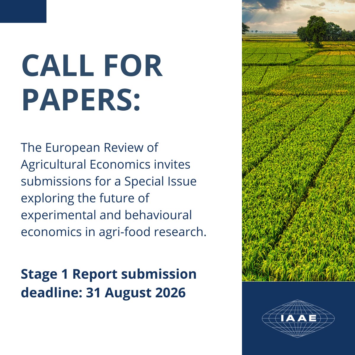 IAAEAgEcon's tweet photo. Call for Papers | Special Issue on Behavioural &amp; Experimental Economics in Agricultural Economics

📅 Stage 1 Report submission deadline: 31 August 2026. Learn more: https://t.co/5uB0QEfVmy https://t.co/GWBJNGfcoR