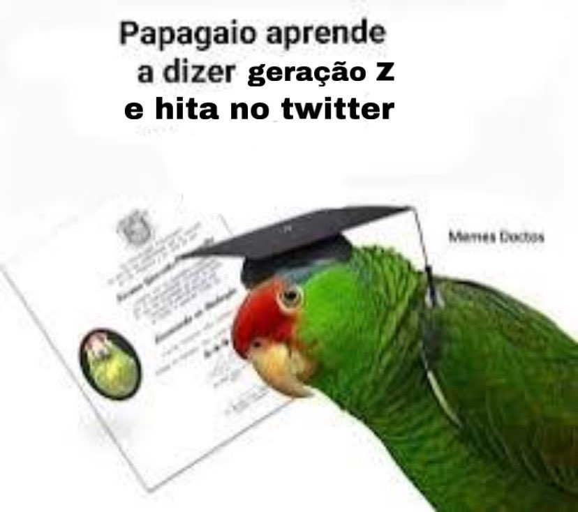 guricieri's tweet photo. @pizardini a geração z (95-2010) chegando nos 30 anos e voces nessa ainda…. https://t.co/sjvj5hsqZ6