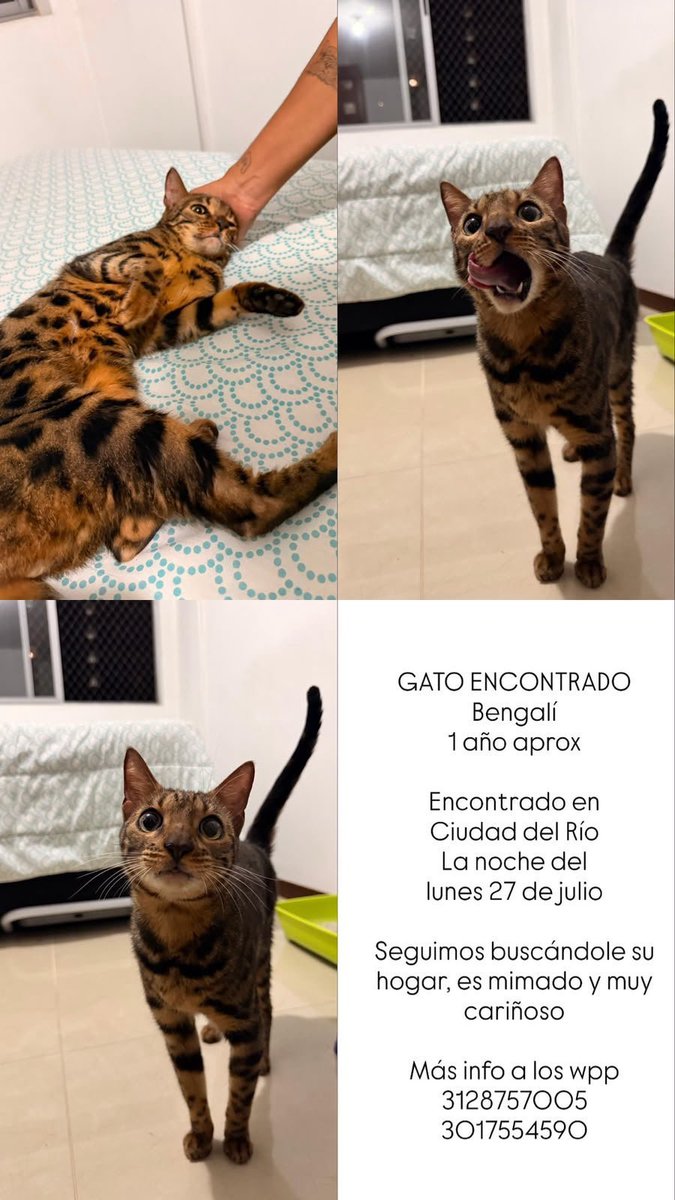 Noridaoficial's tweet photo. ¡Atención Medellín! https://t.co/nIru1kan2F