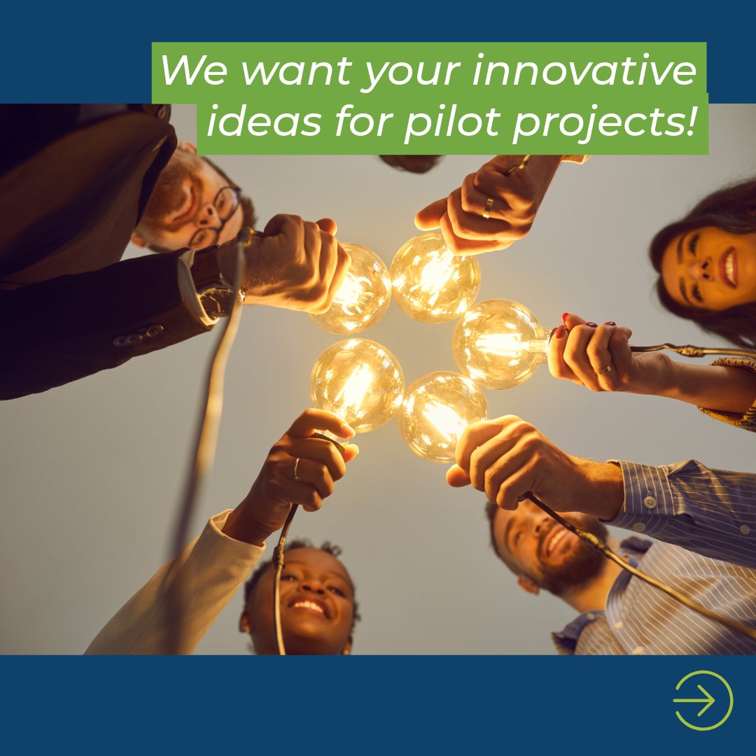 RaleighGov's tweet photo. Through our Impact Partner Grant, we want to support non-profits with big ideas for Raleigh. Does that sound like you? Awardees receive $20,000 in grant funding! Apply now! https://t.co/QbUuEkbsnU https://t.co/fGyk3RjmfT