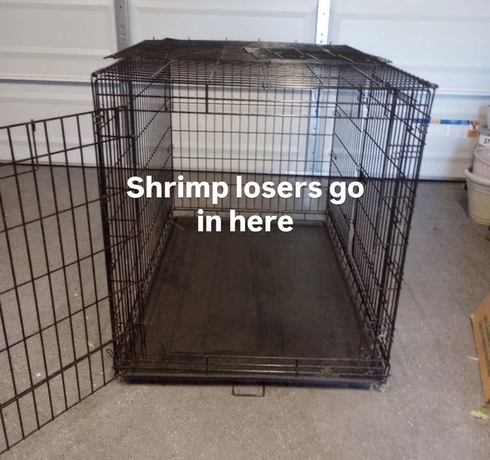 𝑩𝒂𝒎𝒃𝒊 𐙚⋆˚꩜。ྀིྀི𖦹||FINDOM tweet media