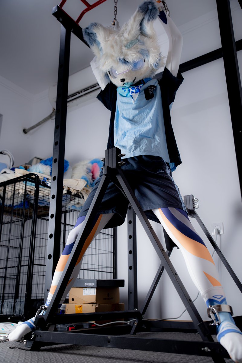 夜子龙糕糕 tweet media