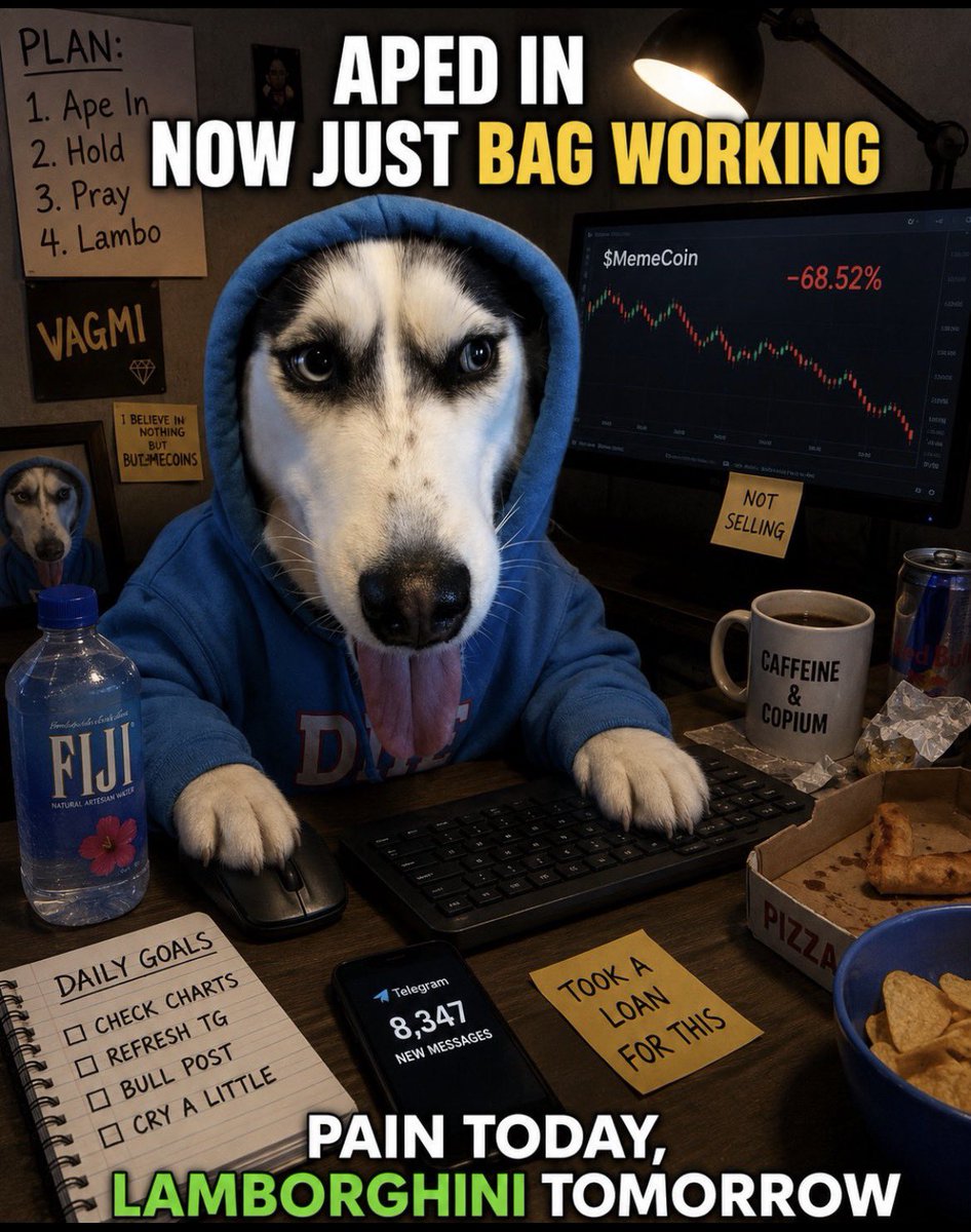 JoeTrencherG's tweet photo. Some dogs fetch sticks some fetch millions of views

$SPOTTY is here to fetch an entire community

If you've spent enough time in Telegram, you'll understand the vibe https://t.co/p2e6uA3pGs