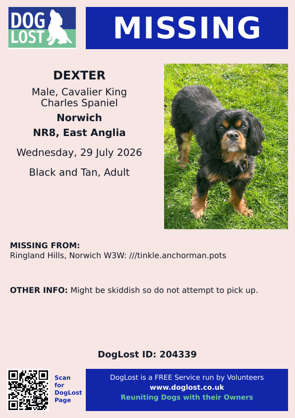millypod1's tweet photo. 🆘29 JULY 2026 #Lost Dexter #ScanMe
Cavalier King Charles Spaniel  Male
#RinglandHills #Norwich #Norfolk #NR8
W3W: ///tinkle.anchorman.pots https://t.co/jcOYx5SyK2 https://t.co/GnLp9SF6Ga