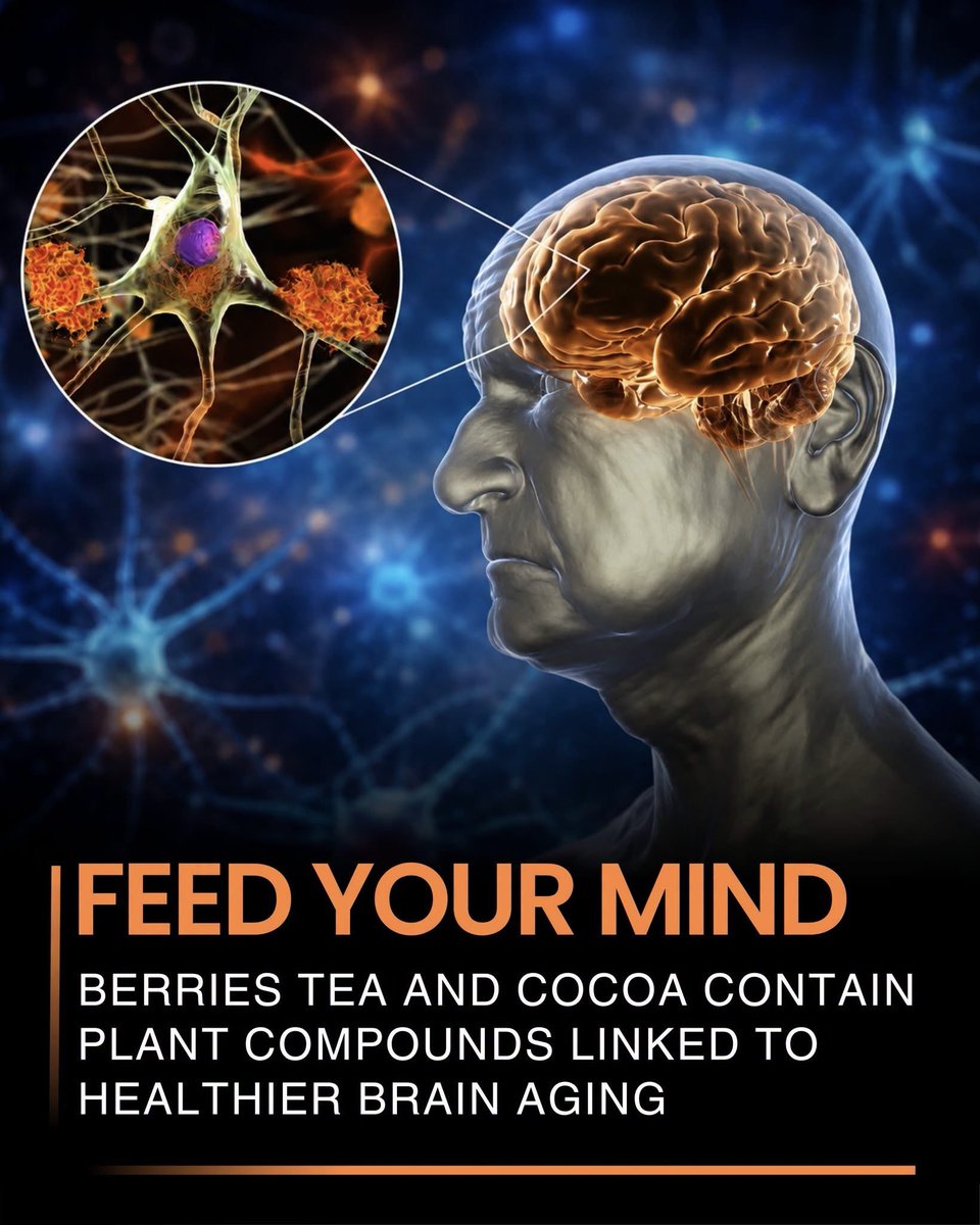 scitechgirl's tweet photo. 🧠 Feed Your Brain Naturally 

The foods you eat every day may help protect your brain as you age. Research suggests that natural plant compounds called flavanols and flavonoids, found in berries, tea, and cocoa, may support memory, attention, and overall brain health.

These compounds have antioxidant and anti-inflammatory properties that may help protect brain cells from age-related damage. While they're not a cure, they can be part of a healthy lifestyle that supports cognitive function.

The biggest benefits come from combining a balanced diet with regular exercise, quality sleep, and lifelong learning. Sometimes, small daily habits can make a big difference over time.

Reference: 
Holland, T. M., et al. (2023). Proceedings of the National Academy of Sciences (PNAS).