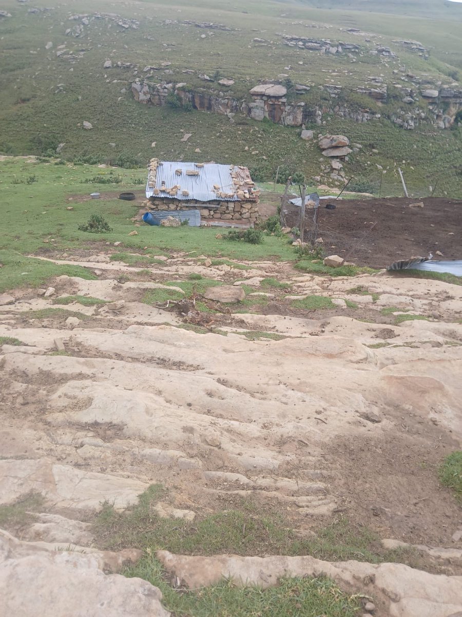vilizwi's tweet photo. @mawuliu @NgetheNl96300 @AmukelaniMoyani Don’t let them fool you my guy, they are starting no businesses here… most are cattle herders. https://t.co/kuf8AypTjE