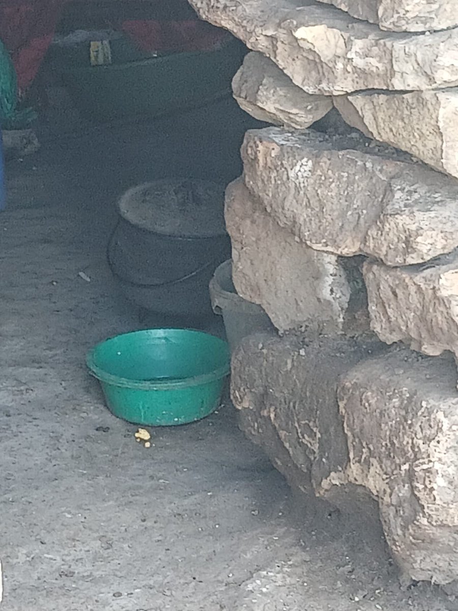 vilizwi's tweet photo. @mawuliu @NgetheNl96300 @AmukelaniMoyani Don’t let them fool you my guy, they are starting no businesses here… most are cattle herders. https://t.co/kuf8AypTjE