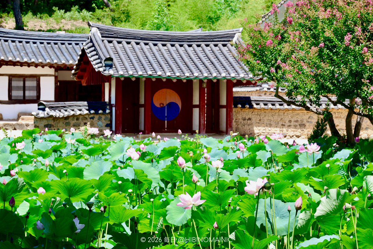 HIBINOMAINIC's tweet photo. https://t.co/IrPHRsMJkI