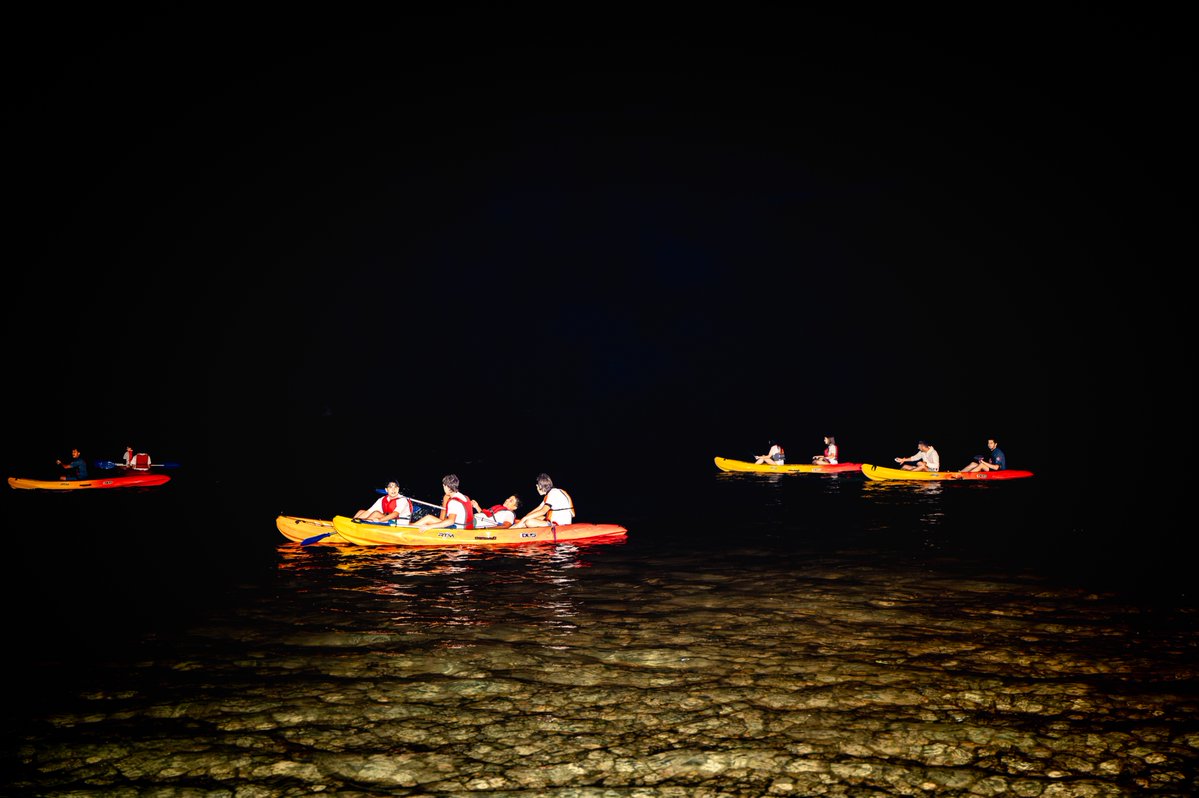 LPAJuventud's tweet photo. 🌙🚣 Cuando cayó la noche... nos lanzamos al agua.

Después de unas cuantas actividades de kayak este verano, ya le teníamos cogido el truco, así que tocaba disfrutar de una experiencia diferente: remar bajo la noche. 

✨ ¡El verano sigue regalándonos momentos para recordar! https://t.co/HRydP83uF8