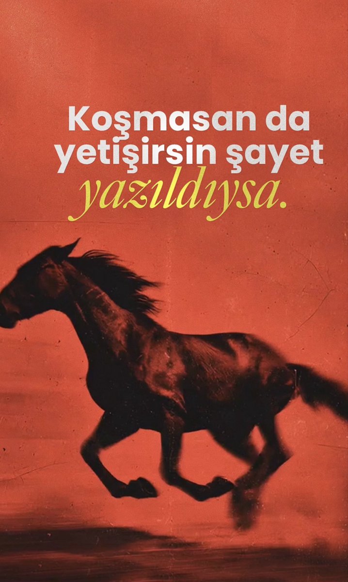 ahmetbodurcom's tweet photo. https://t.co/7aCug4nYuX