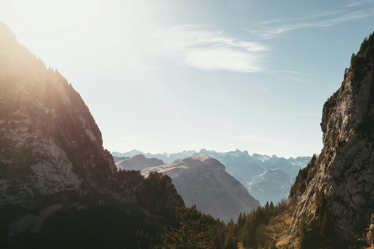 SchweizLove's tweet photo. Luftaufnahme: dichter Wald an steilen Felsklippen — Zeugnis eiszeitlicher Formung und frühe Wandertradition.
#Schwyz #Schweiz #Wald #Fels #Tal #Switzerland https://t.co/mU9OSvk1Nv