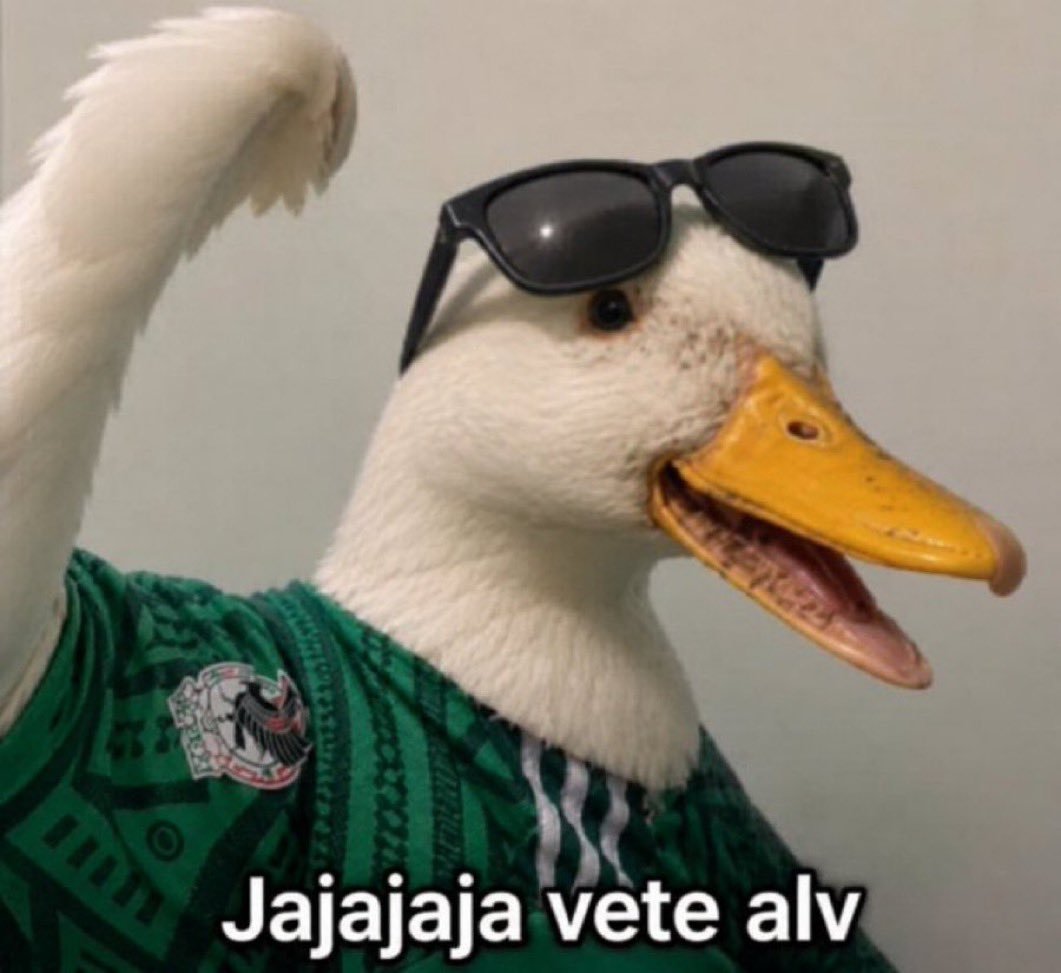 luosmartm's tweet photo. @ArturoVill7 No ganan ni una elección vecinal, tienen a alito, el cucarachón, a ti como cara pública en redes sociales y al tontín de lideres... No ganan ni una elección vecinal 😂🤣😂🤣 https://t.co/tVcFxwRb8O